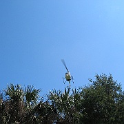 Picture 047